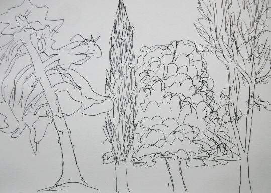 Four quick tree sketches